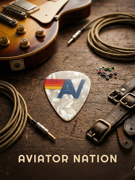 Aviator Nation Accessories - Aviator Nation Pearl Logo Guitar Pick NWOT | Limited Edition Collectible